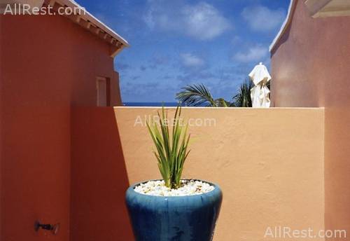 The Reefs 4